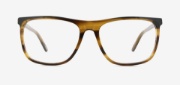 Tortoiseshell